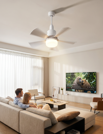 Ventilateur sur douille 2-en-1 avec télécommande