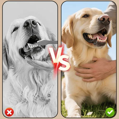 Spray de soin dentaire anti-tartre pour animaux 🐶🐱