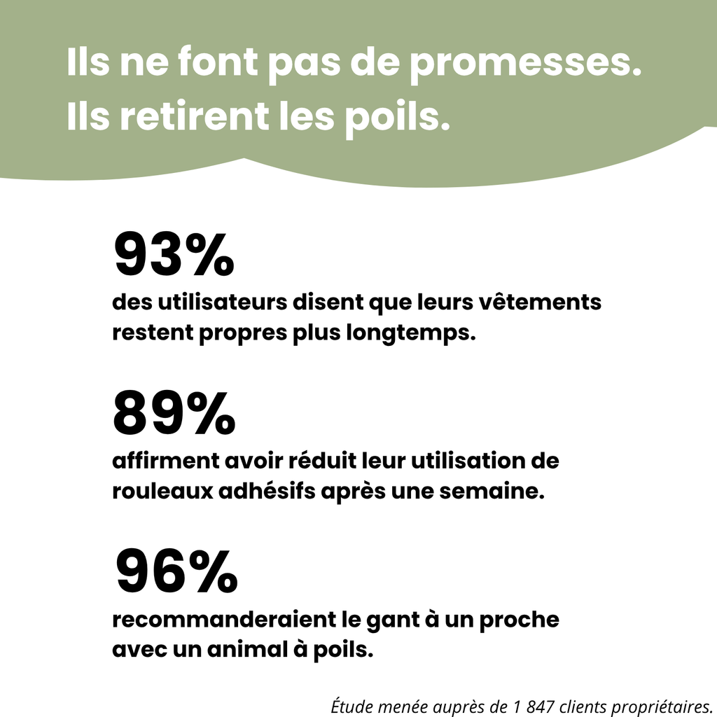 Gant Anti-poils