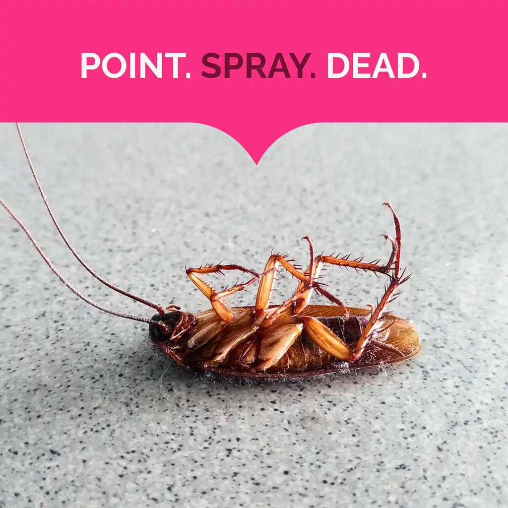 Spray aérosol anti-fourmis, anti-cafards et anti-araignées”