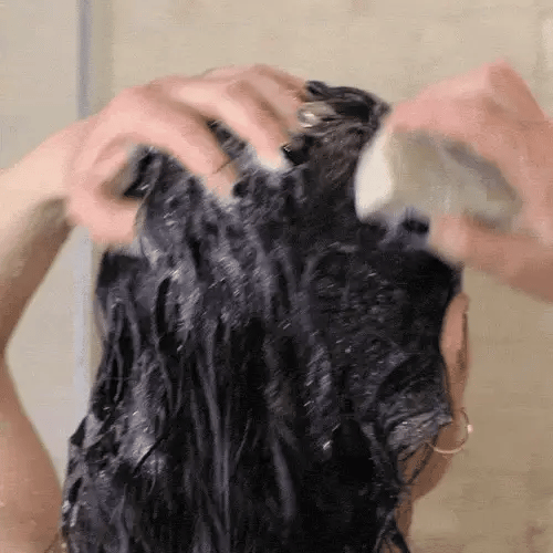 Shampoing solide aux plantes – contrôle du sébum & volume