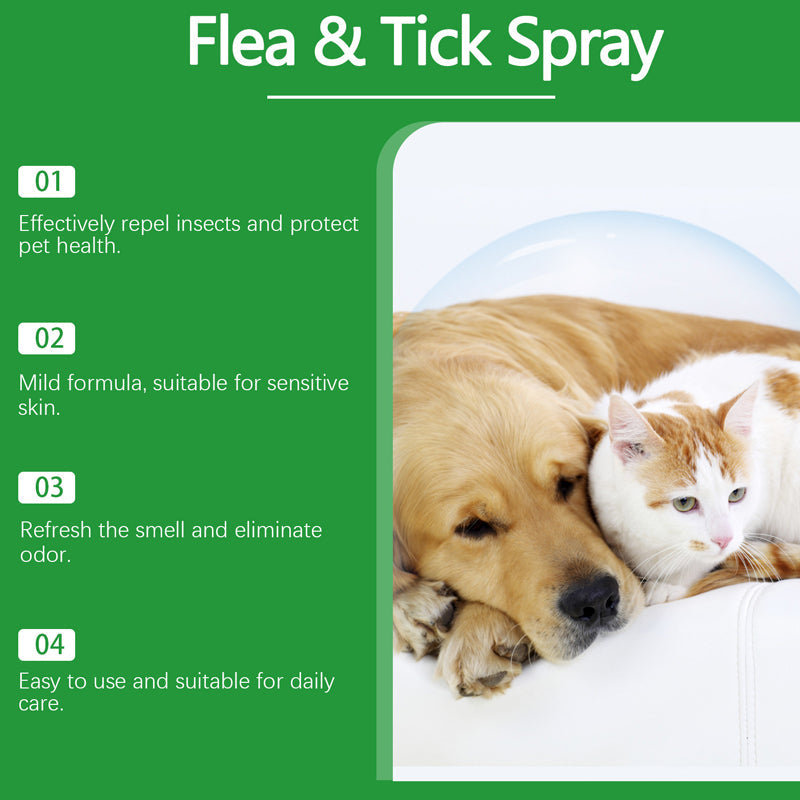 🍃Spray naturel anti-puces et anti-tiques pour chiens et chats🐾 Protégez votre animal de compagnie bien-aimé contre les parasites