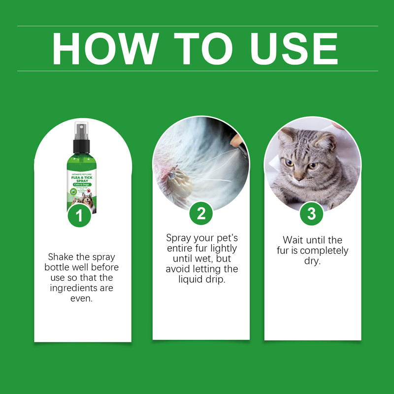 🍃Spray naturel anti-puces et anti-tiques pour chiens et chats🐾 Protégez votre animal de compagnie bien-aimé contre les parasites