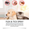 🍃Spray naturel anti-puces et anti-tiques pour chiens et chats🐾 Protégez votre animal de compagnie bien-aimé contre les parasites