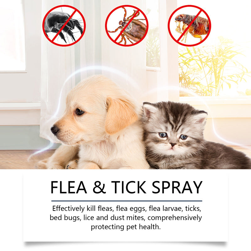🍃Spray naturel anti-puces et anti-tiques pour chiens et chats🐾 Protégez votre animal de compagnie bien-aimé contre les parasites