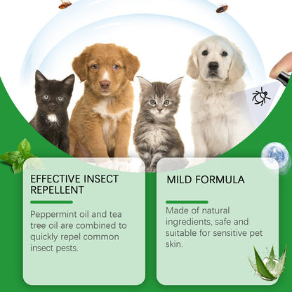 🍃Spray naturel anti-puces et anti-tiques pour chiens et chats🐾 Protégez votre animal de compagnie bien-aimé contre les parasites