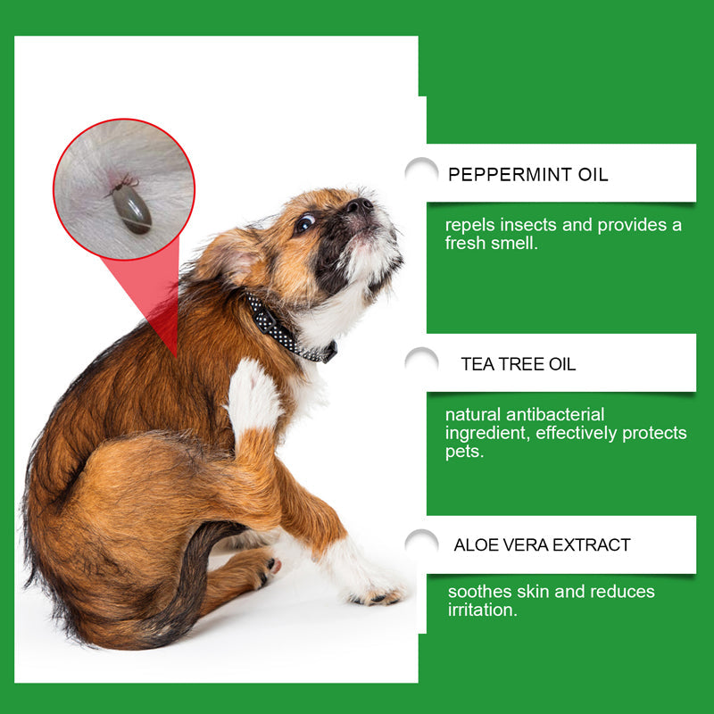 🍃Spray naturel anti-puces et anti-tiques pour chiens et chats🐾 Protégez votre animal de compagnie bien-aimé contre les parasites