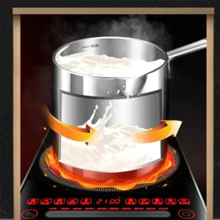 Friteuse à Ingrédients avec Filtre à Bande en Acier Inoxydable 304 (Liquidation)