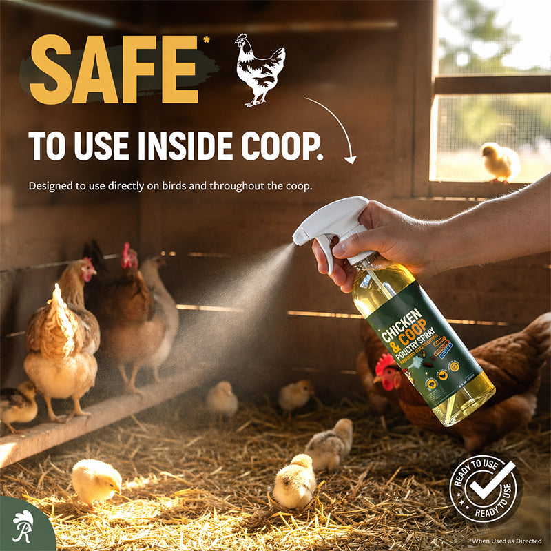⏳ DERNIER JOUR DE PROMOTION : 50 % DE RÉDUCTION ! 🔥 Spray nettoyant naturel pour poulaillers 🐔 Aide à éliminer la saleté, la crasse et les odeurs | Facile à utiliser et idéal pour les poulaillers