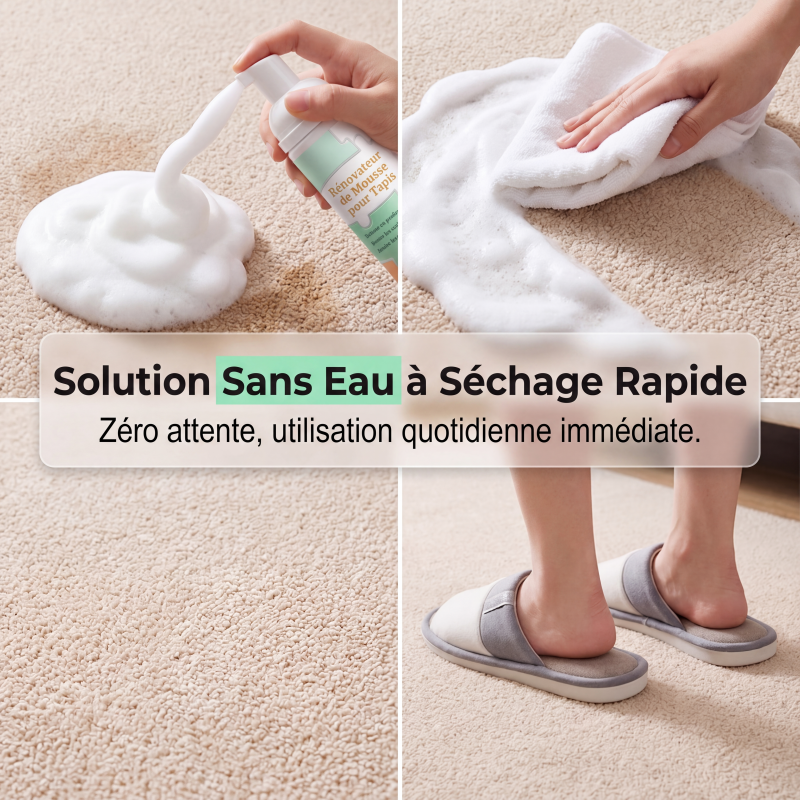 ✨ Mousse Détachante Sans Eau pour Tapis