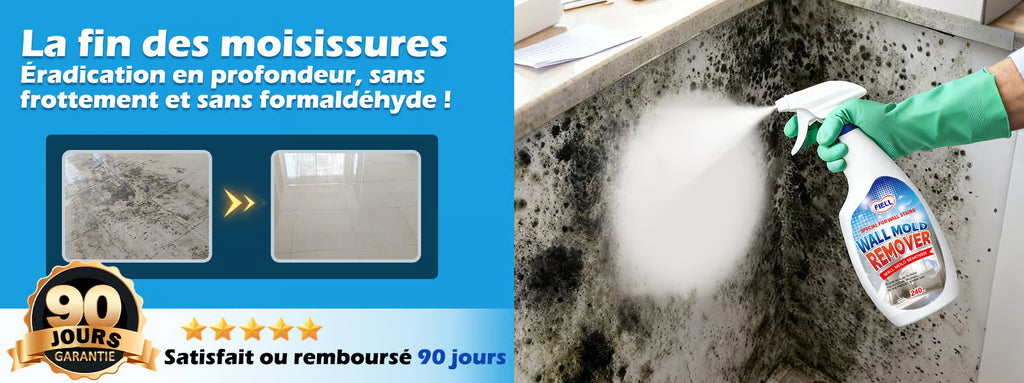 Spray nettoyant anti-moisissure à action rapide pour murs