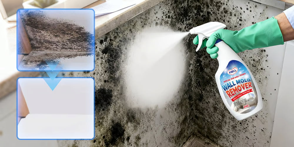 Spray nettoyant anti-moisissure à action rapide pour murs